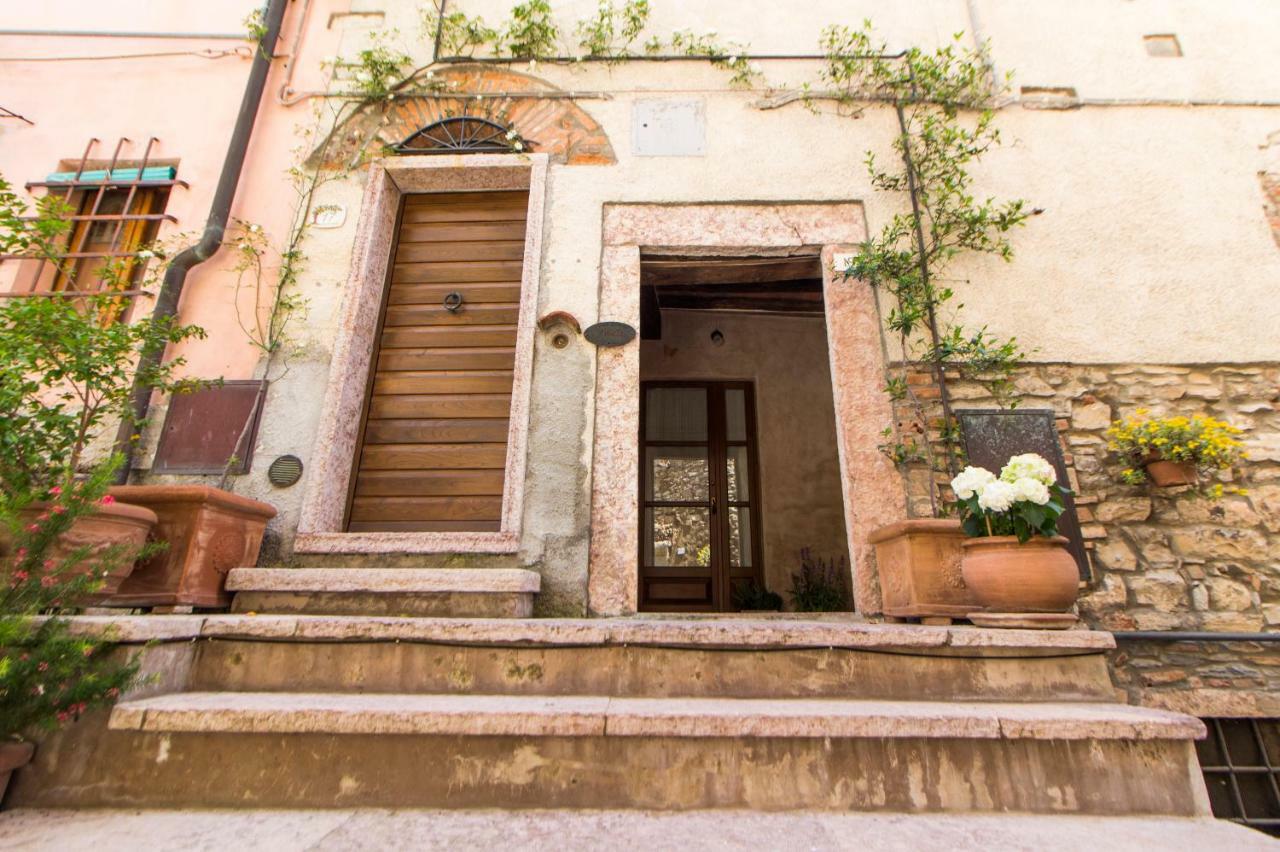 Le Dame Del Borgo Apartment Sassetta Exterior photo